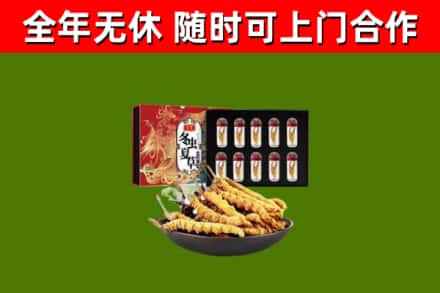 阿图什回收冬虫夏草价格