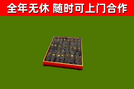 阿图什烟酒回收海参.jpg